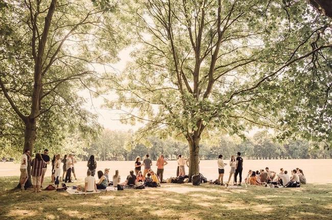 London as a National Park City:<br> a vision for the future 