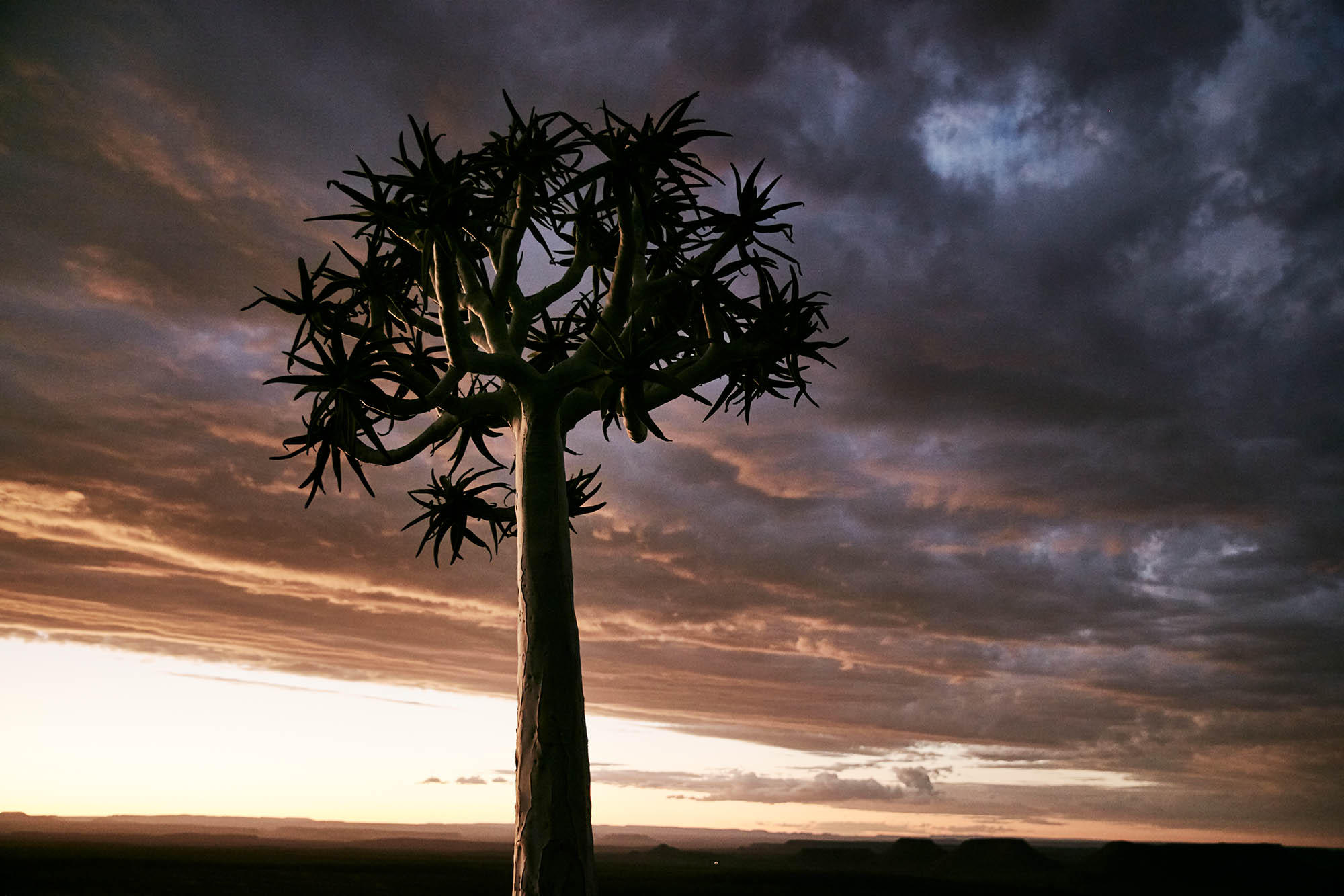 Namibia_03_2016-8980_homepage.jpg