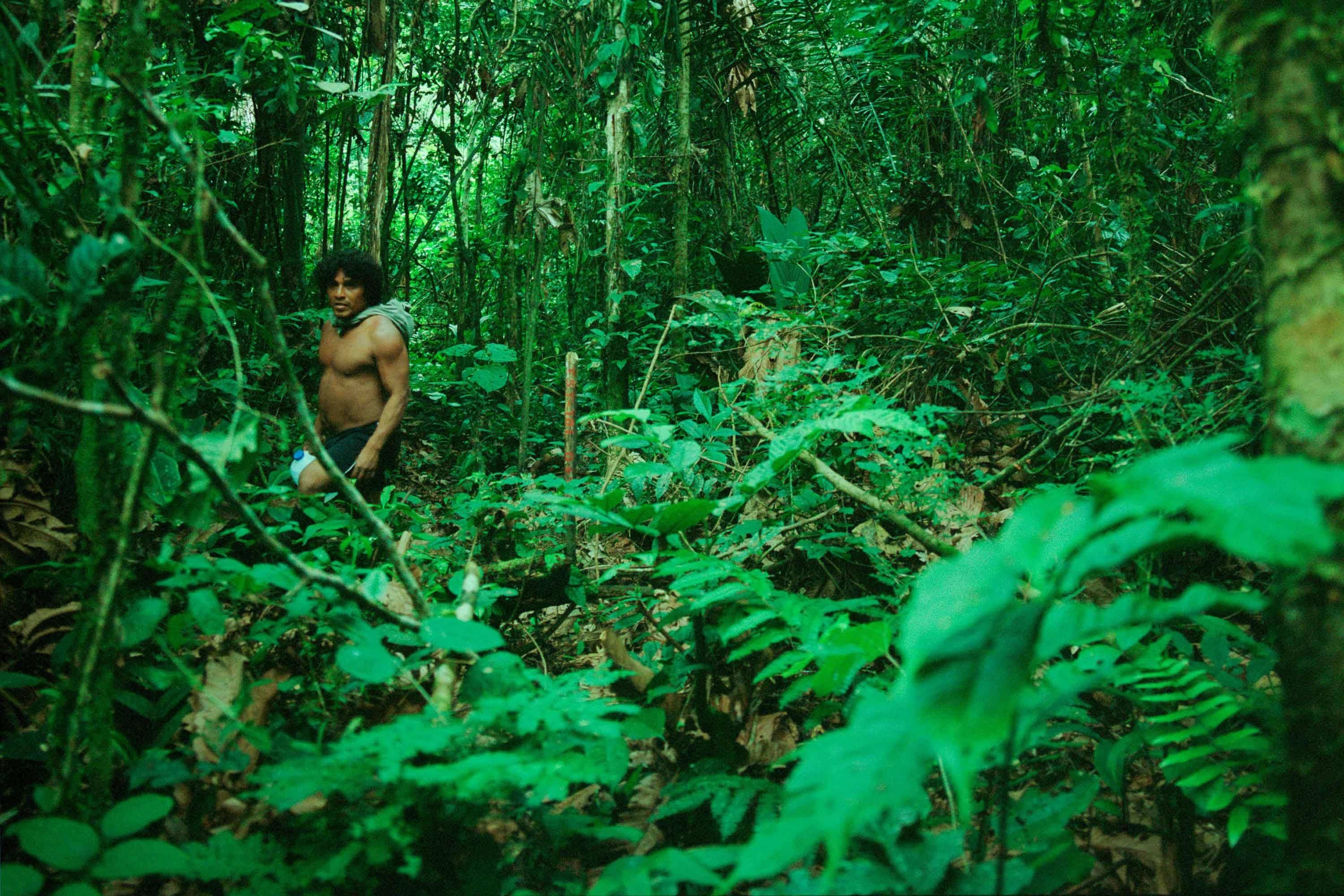 Waorani tribe of Amazonian Ecuador